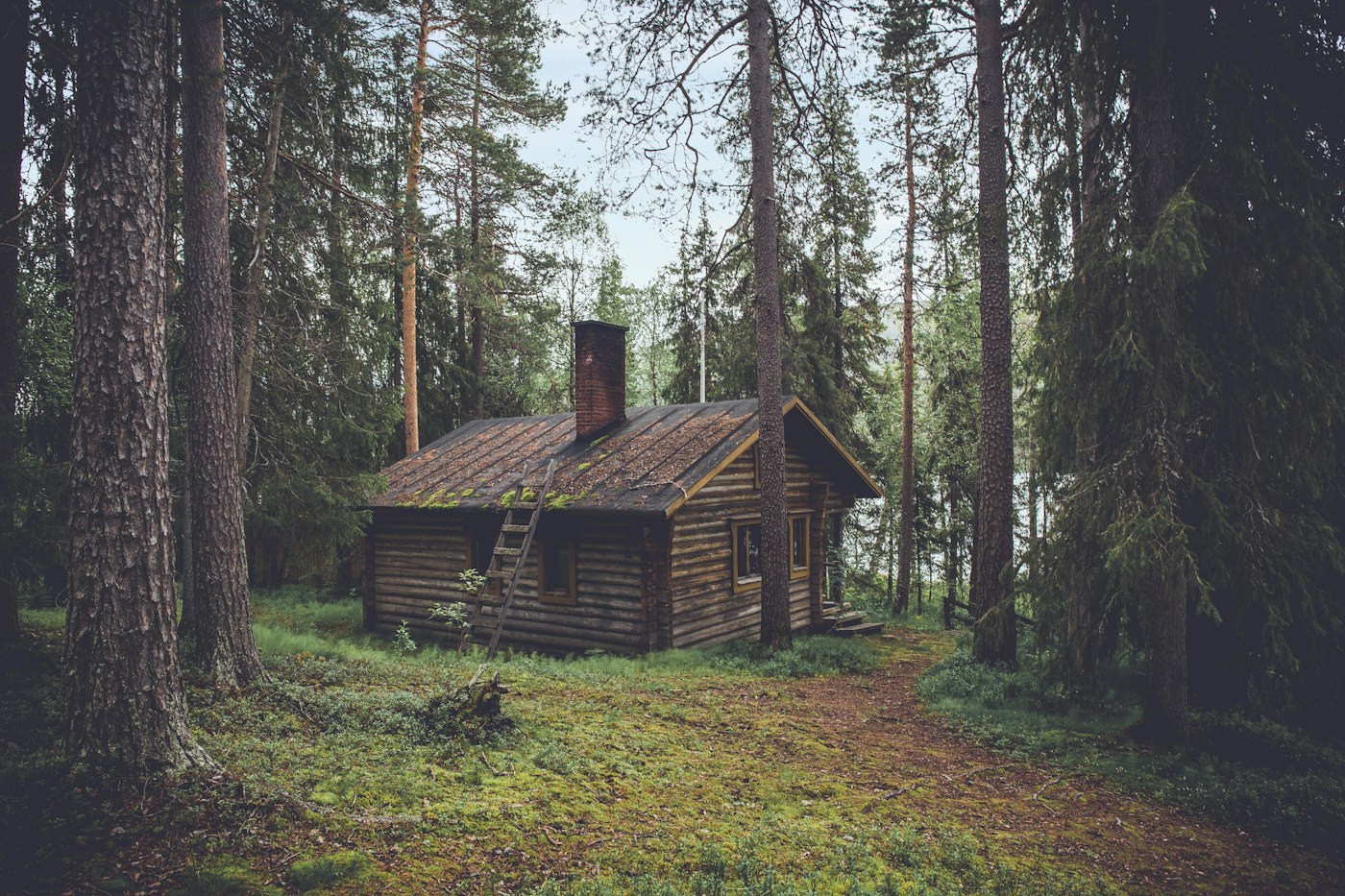 Cabaña de madera entre los árboles del bosque