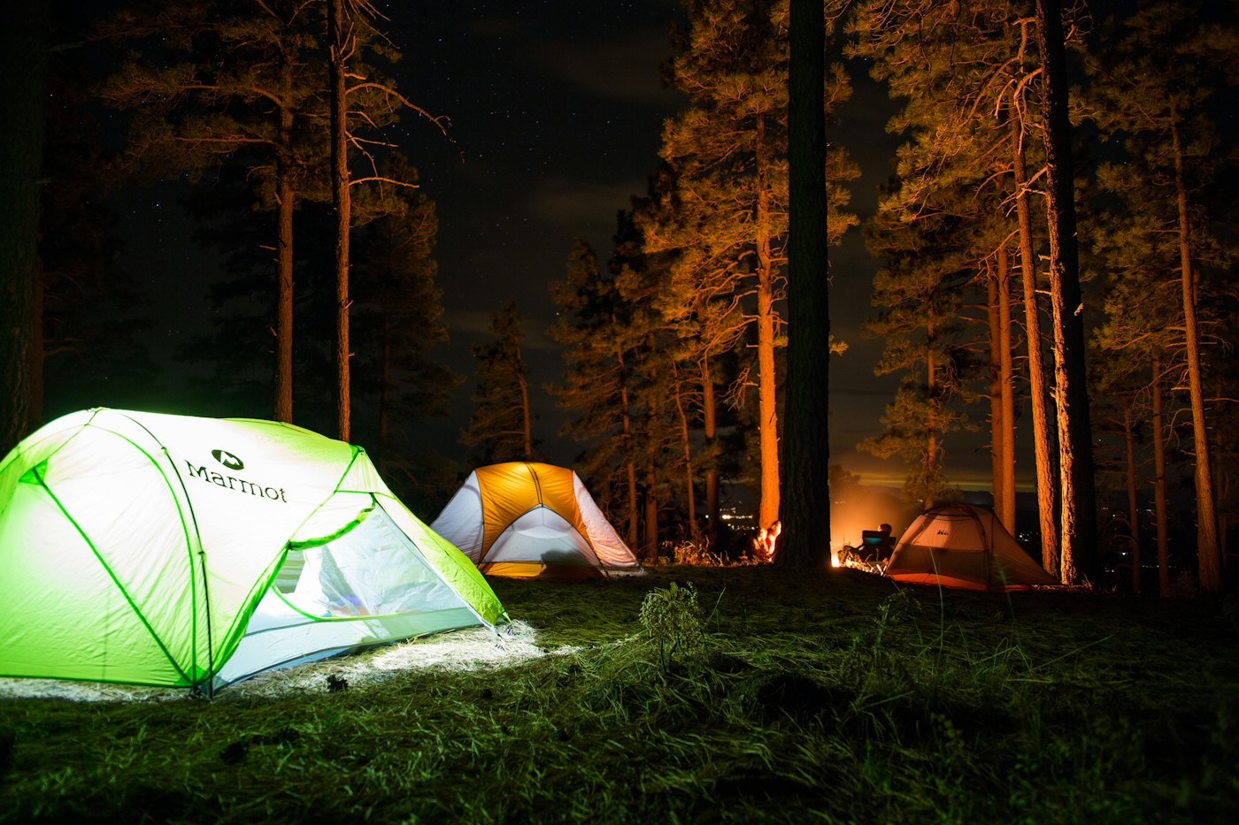 Carpas iluminadas entre los árboles durante la noche